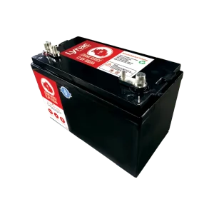Powerful 12V 100Ah lithium cranking battery for reliable starts and long-lasting performance.